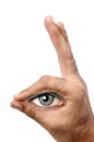 Eye observation Royalty Free Stock Photo