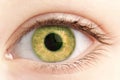 Eye of the person close up Royalty Free Stock Photo