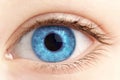 Eye of the person close up Royalty Free Stock Photo