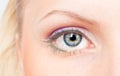 Eye with pink and green make-up Royalty Free Stock Photo