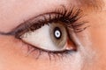 Eye profile Royalty Free Stock Photo