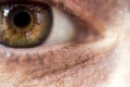 Eye pupil of a human, close-up macro photo.