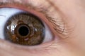 Eye pupil of a human, close-up macro photo.