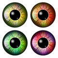 Eye, pupil, iris, vector symbol icon design.