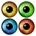 Eye, pupil, iris, vector symbol icon design.