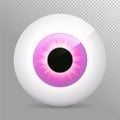 Eye, purple. Realistic 3d violet eyeball vector illustration. Real human iris,pupil and eye sphere. Icon, transparent background. Royalty Free Stock Photo