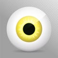 Eye, yellow. Realistic 3d orange eyeball vector illustration. Real human iris,pupil and eye sphere. Icon ,transparent background. Royalty Free Stock Photo