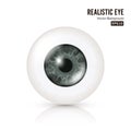 Eye Realistic. Vector Illustration Of 3d Human Glossy Photo Rrealistic Eye With Shadow And Reflection. Front View Royalty Free Stock Photo