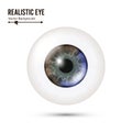 Eye Realistic. Vector Illustration Of 3d Human Glossy Photo Rrealistic Eye With Shadow And Reflection. Front View Royalty Free Stock Photo