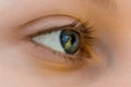 Eye with reflection of  the flame close up. The girl with the fire in her eyes. Royalty Free Stock Photo