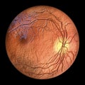 Eye retina, 3D illustration