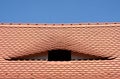 Eye Roof