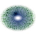 Eye RTG. Middle size of open eyes.. Illustration of eye