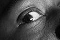 Eye, sadness expression BW