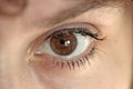 Eye series Royalty Free Stock Photo