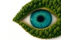 An eye in the shape of a lake in the middle of a forest. Space for text. Royalty Free Stock Photo