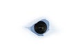 Eye of spy, web cam behind a paper hole Royalty Free Stock Photo