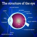 Eye structure blue Royalty Free Stock Photo