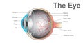 Eye system. vector design. Royalty Free Stock Photo