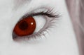 The eye of the vampire Royalty Free Stock Photo