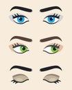 Eye vector at different positions. Beautiful female eye. Eyes lo