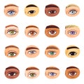 Eye vector human eyesight vision beauty female view of eyebrows eyelashes and eyelid illustration optical set of