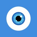 Eye vector look icon. Eyeball vision blue eyesight view symbol ball isolated icon illustration Royalty Free Stock Photo