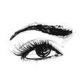 Eye Vector Pencil Drawing Royalty Free Stock Photo