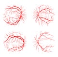 Eye vein set system x ray angiography vector design isolated on