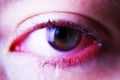 Eye wet and red Royalty Free Stock Photo