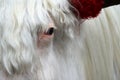 Eye of white yak Royalty Free Stock Photo