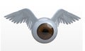 Eye with wings that fly Royalty Free Stock Photo