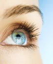 Eye of woman Royalty Free Stock Photo