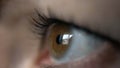 Eye of a woman side view, reflection of a window, brown eyes, macro shoot Royalty Free Stock Photo