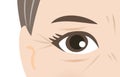 Eye wrinkles on skin around the eye of mature woman vector illustration.
