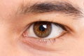 Eye of a young latin man macro shot closeup person people Royalty Free Stock Photo