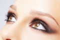 Eye zone make up Royalty Free Stock Photo