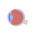 Eyeball  flat icon, human organ, eye anatomy, medical Royalty Free Stock Photo