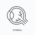 Eyeball flat line icon. Vector outline illustration of human internal organ. Black thin linear pictogram for
