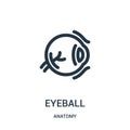 eyeball icon vector from anatomy collection. Thin line eyeball outline icon vector illustration. Linear symbol for use on web and