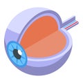 Eyeball perception icon isometric vector. Visual memory