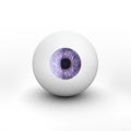 Eyeball with shadow on white background Royalty Free Stock Photo