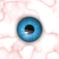 Eyeball Texture Map Royalty Free Stock Photo