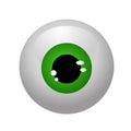 Eyeballs isolated vector
