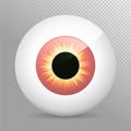 EyeballyellowEye, red. Realistic 3d red eyeball vector illustration. Real human iris,pupil and eye sphere. Icon, transparent . Royalty Free Stock Photo