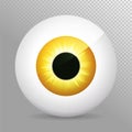 EyeballyellowEye, yellow. Realistic 3d orange eyeball vector illustration. Real human iris,pupil and eye sphere. Icon,transparent Royalty Free Stock Photo