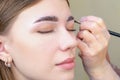 Eyebrow coloring. Woman applying brow tint with makeup brush closeup