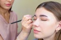 Eyebrow coloring. Woman applying brow tint with makeup brush closeup Royalty Free Stock Photo