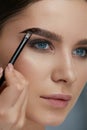 Eyebrow coloring. Woman applying brow tint with makeup brush Royalty Free Stock Photo