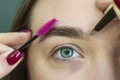 eyebrow correction in a beauty salon. Combing eyebrows. Beautiful young woman in cosmetic salon close up Royalty Free Stock Photo